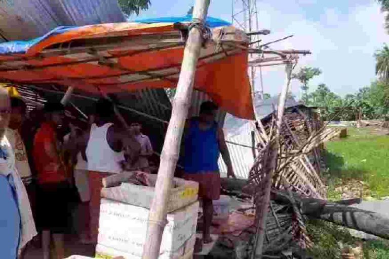 महनार के मछली हाट मे तार के पेड़ गिरने से तीन महिला गंभीर रूप से घायल