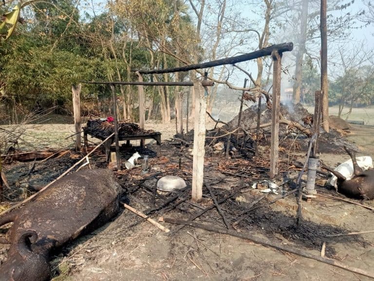 झोपड़ी मे लगी आग,दो भैस जल कर मरी