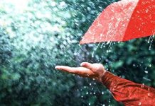 बिहार के इन जिलों में 48 घंटे बारिश का अलर्ट !