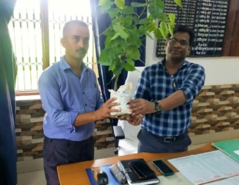 कुढ़नी के पुरूषोत्तमपुर निवासी ने बीडीओ को पर्यावरण दिवस पर पीपल के पेड़ भेंट दिया