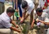 डीएम ने पौधा रोपन कर गोलम्बर जीर्णोद्धार कार्य का किया गया शुभारंभ।